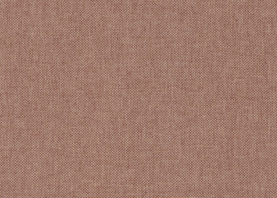 beat_color_37_camel1