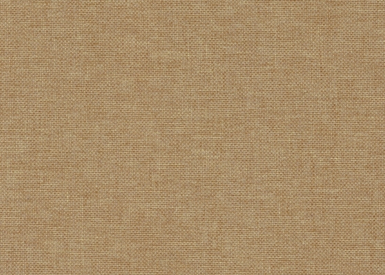 beat_color6_tofee1